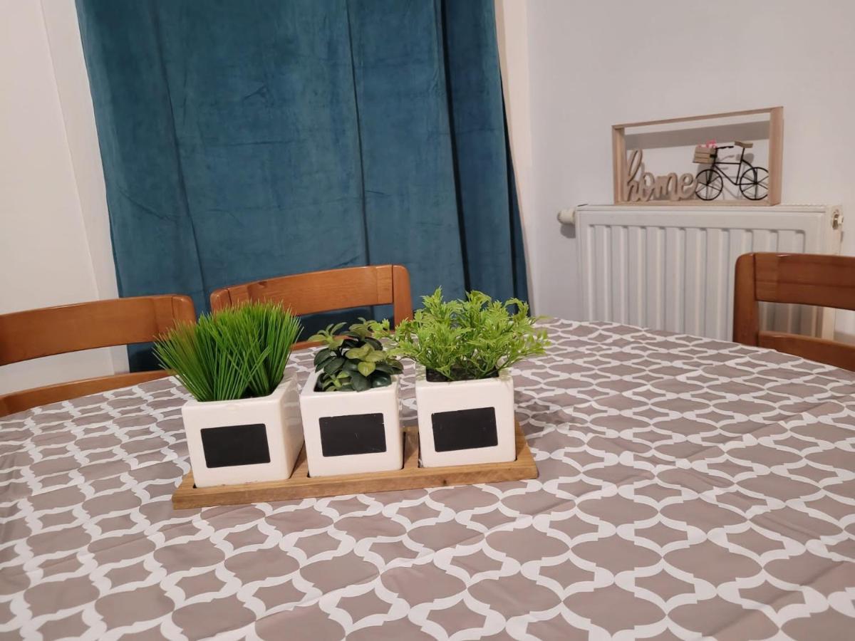 Boissy Gare Rer A Appartement 1 A 3 Chambres Au Choix المظهر الخارجي الصورة